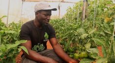 Inspiring Success Stories of Kent Academy Miango Alumni