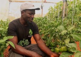 Inspiring Success Stories of Kent Academy Miango Alumni