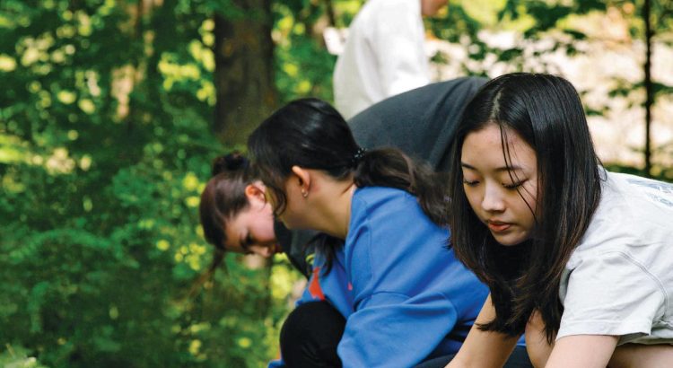 This School Project Left the Entire Village in Awe